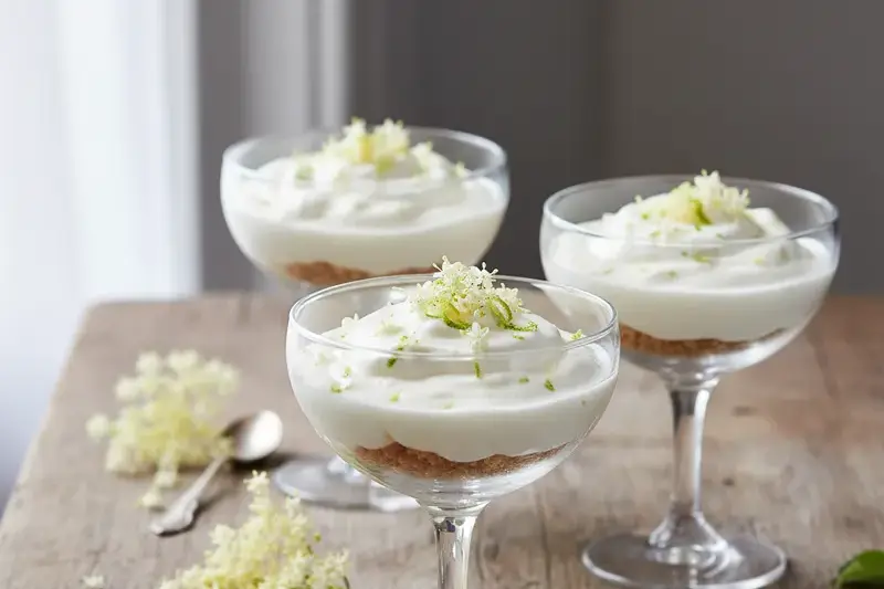 Cremige Joghurt-Mousse nach Hausfrauen-Art